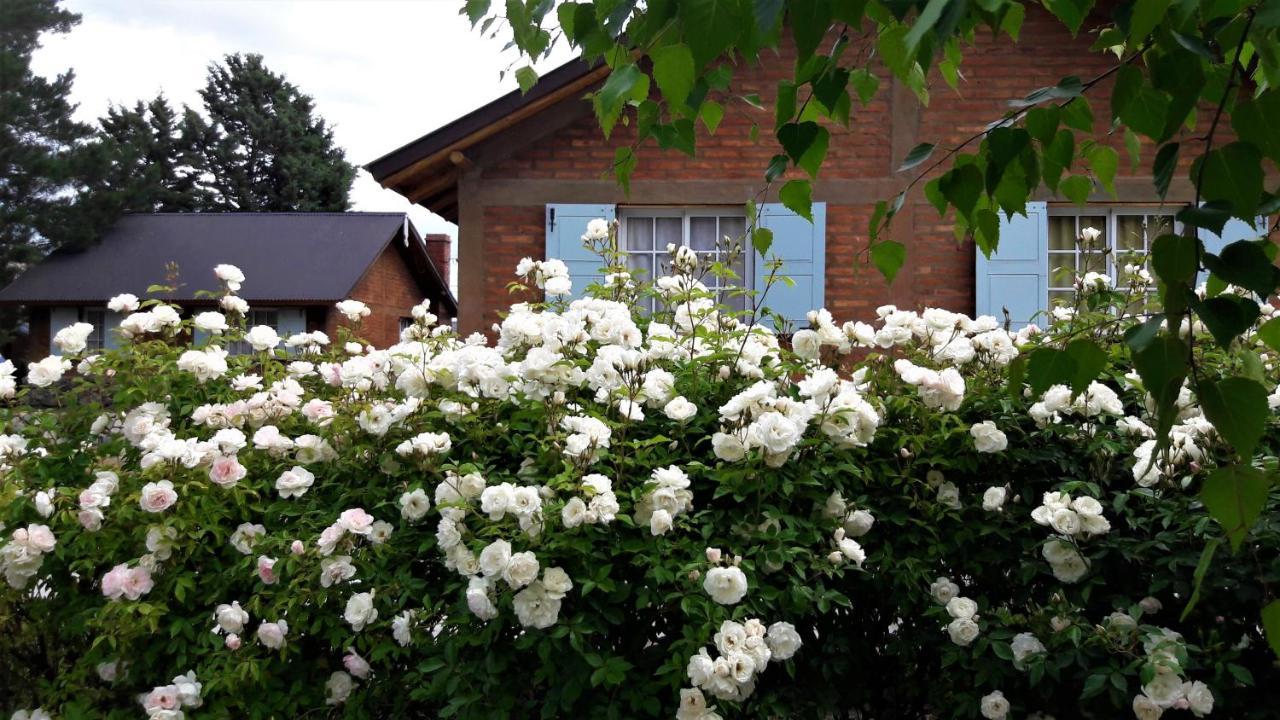 Cabanas Pyracantha Esquel Ngoại thất bức ảnh