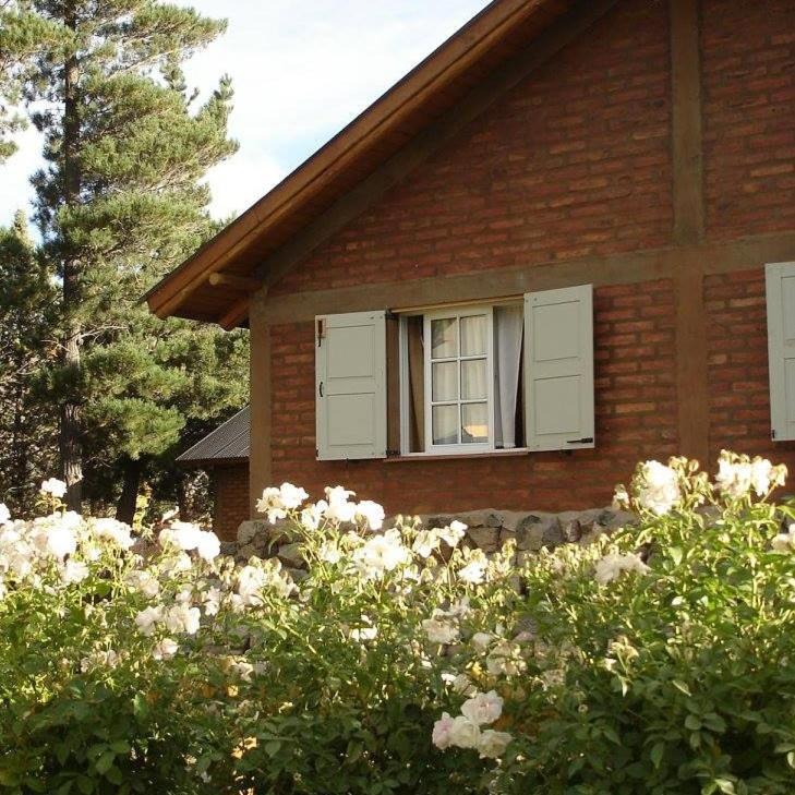 Cabanas Pyracantha Esquel Ngoại thất bức ảnh